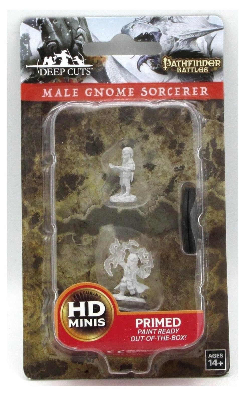 Male Gnome Sorcerer