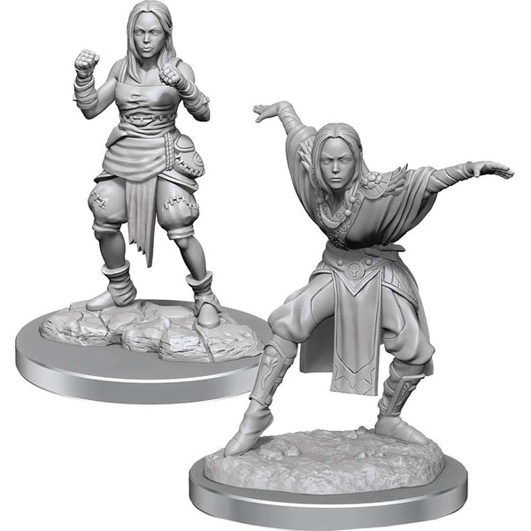 Half-Elf Monk Female