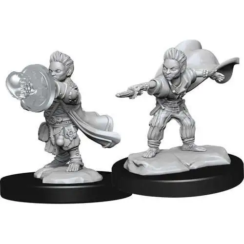 Male Halfling Wizard