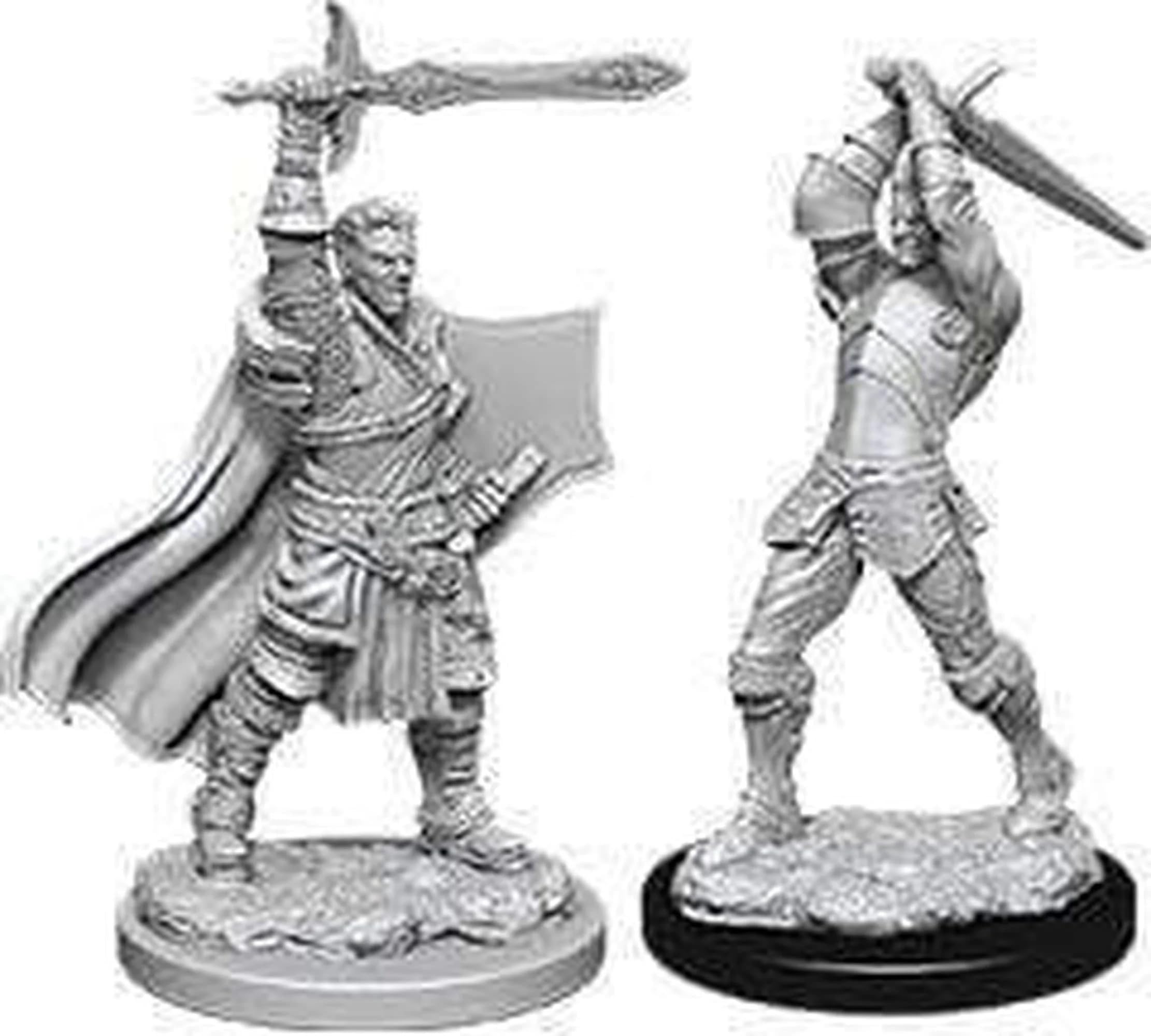 Human Paladin