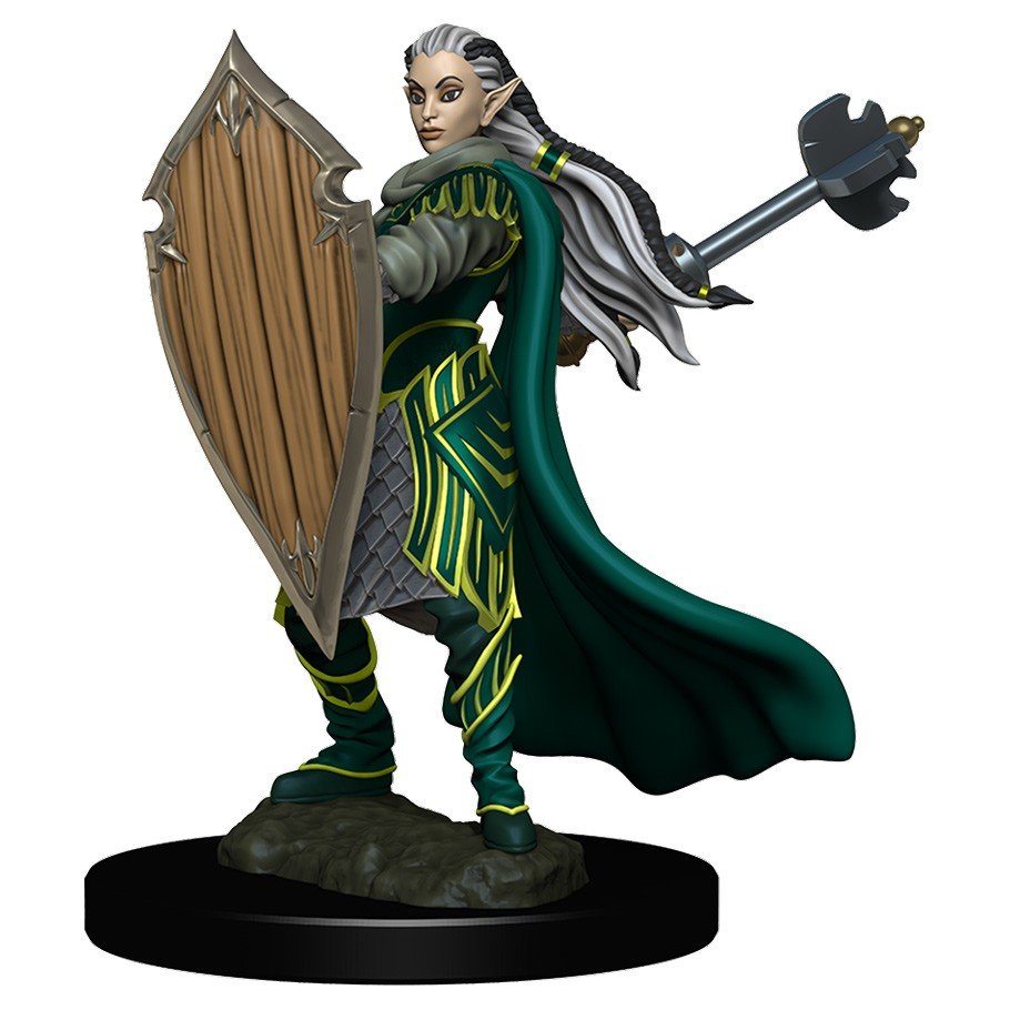 Elf Paladin