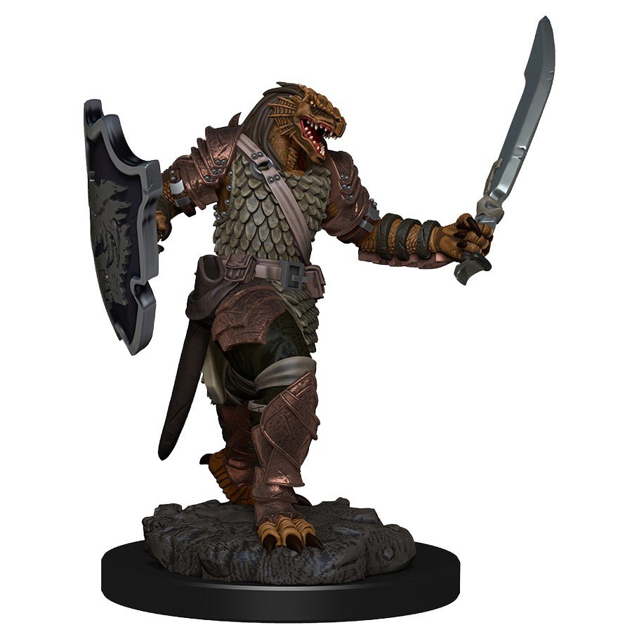 Dragonborn Paladin