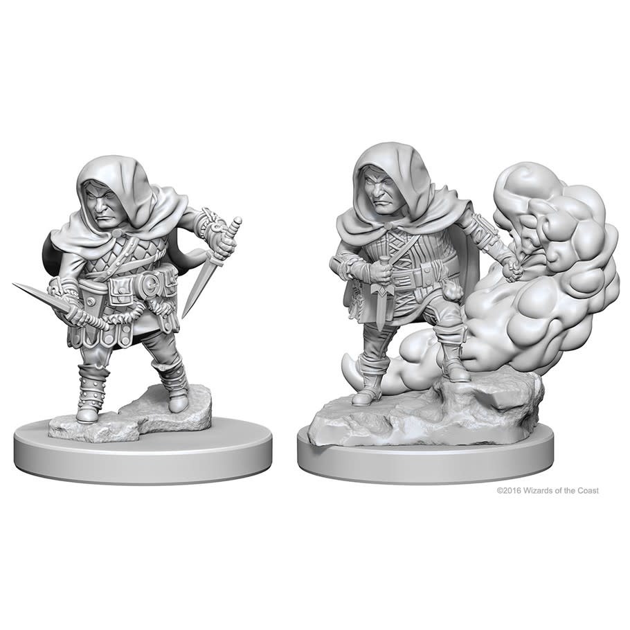 Halfling Rogue