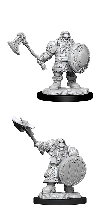 Dwarf Fighter