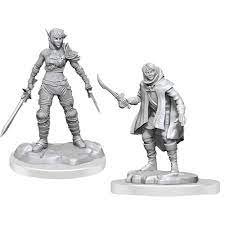 Elf Rogue & half-Elf Rogue Protege