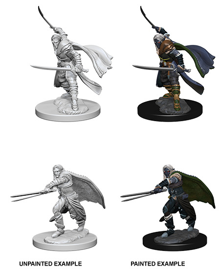Elf Ranger